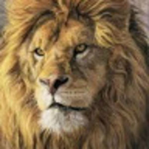 Meet your Posher, Angry